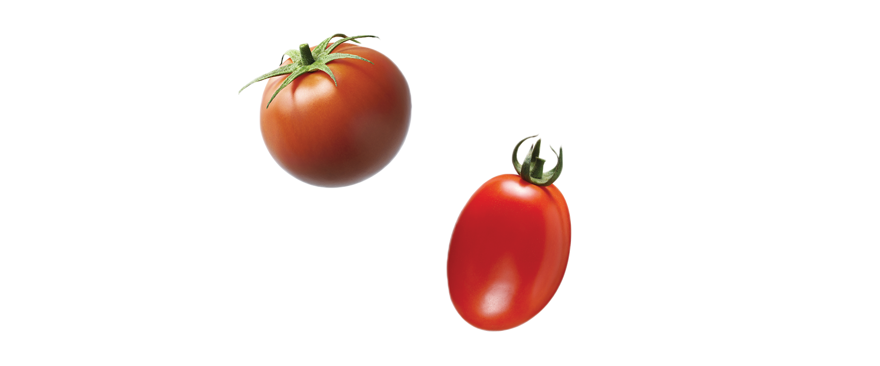 Tomate