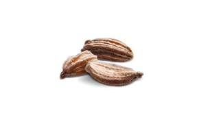 semences carottes
