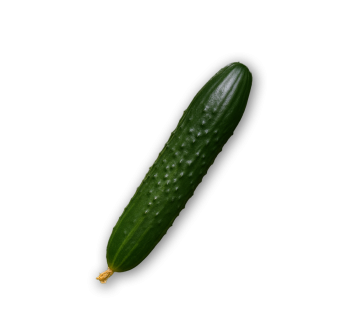 Concombre